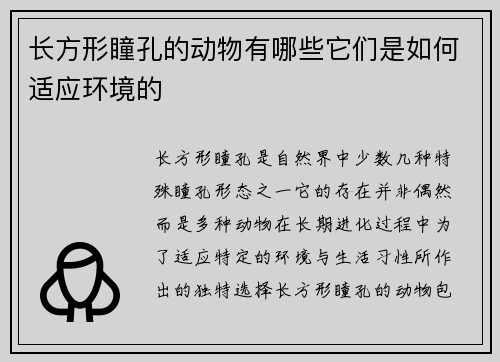 长方形瞳孔的动物有哪些它们是如何适应环境的